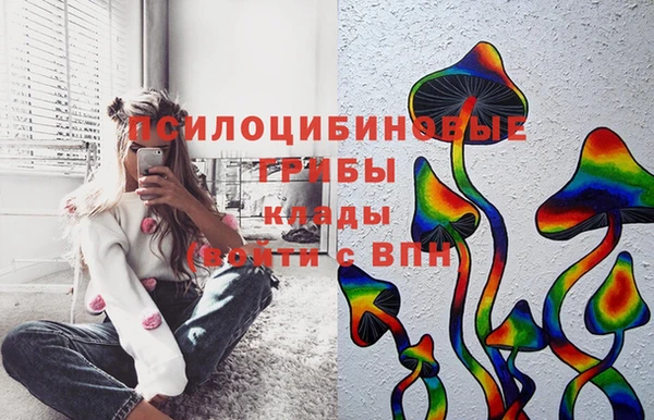 дживик Вязники